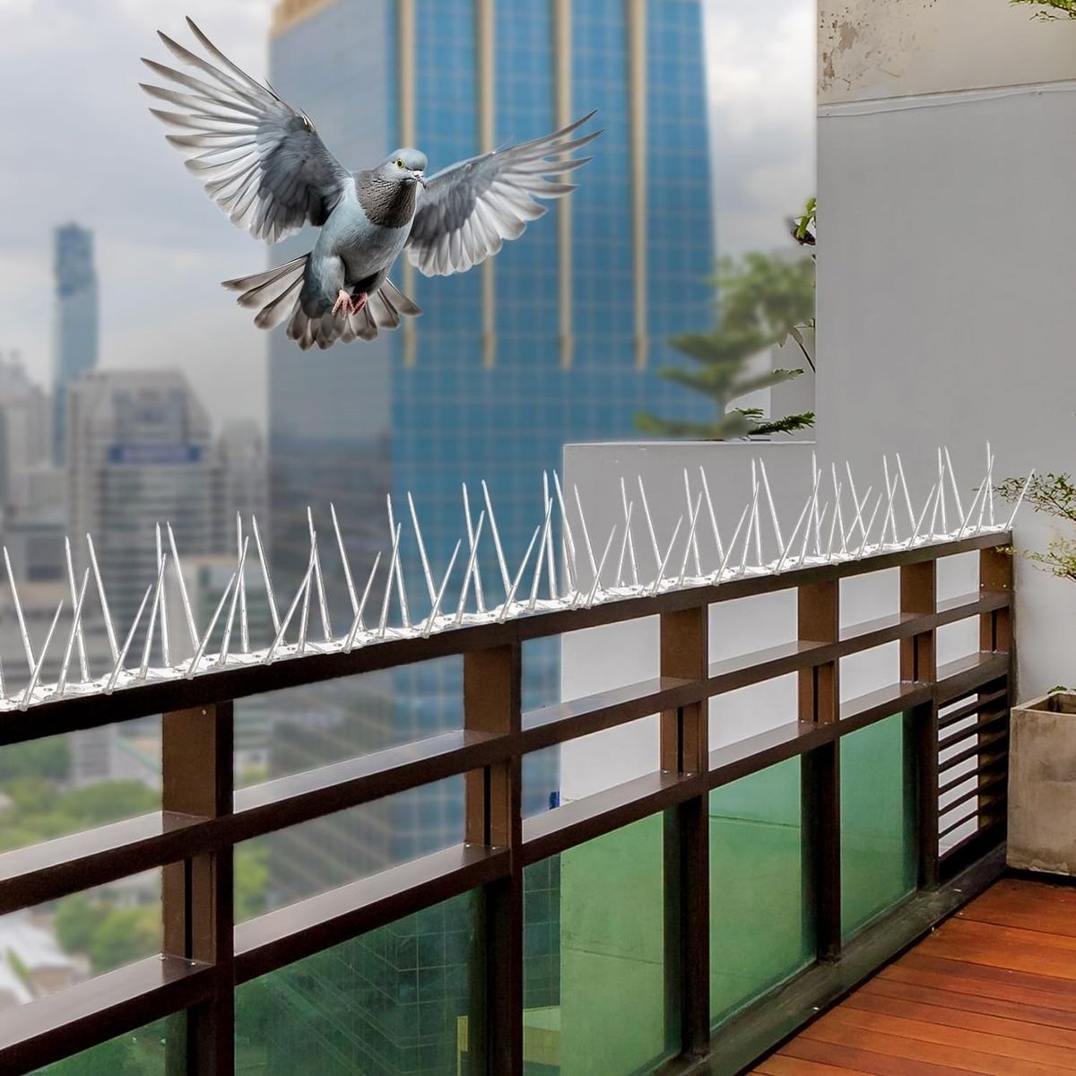 Bird Spikes in Bengaluru